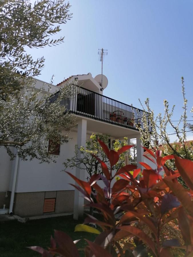 Apartment Magnolia Petrčane Kültér fotó